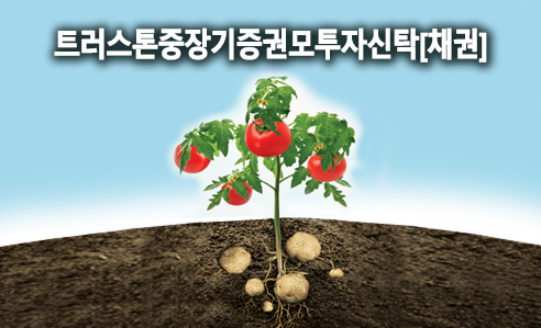 트러스톤중장기증권모투자신탁[채권]