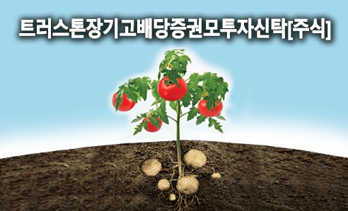 트러스톤장기고배당증권모투자신탁[주식]