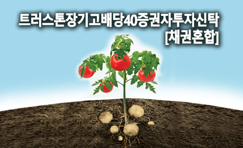 트러스톤장기고배당40증권자투자신탁[채권혼합]